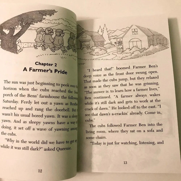 Vtg 1997 The  Berenstain Bears and the Haunted Hayride by Stan Berenstain - Picture 11 of 16